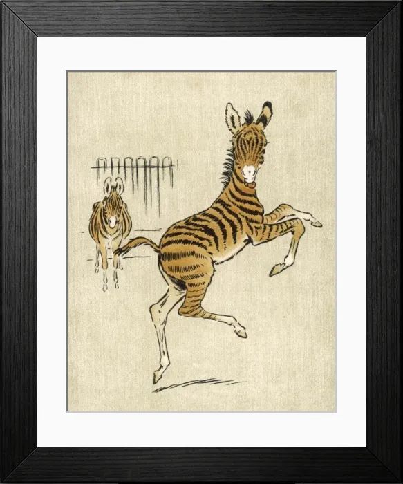 Framed Print : Zebra Mother and Young Framed Print : Zebra Mother and Young
