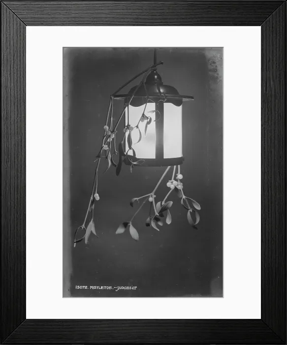 Framed Print : Mistletoe Lantern Framed Print : Mistletoe Lantern