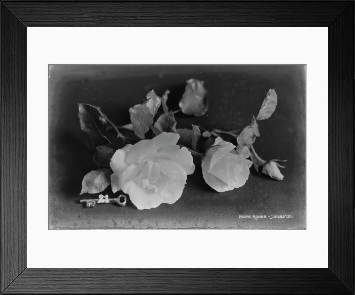 Framed Print : Elegant Roses with Key Framed Print : Elegant Roses with Key