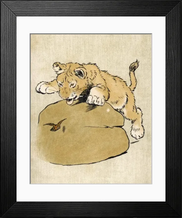 Framed Print : Lion Cub Aldin 1907 Framed Print : Lion Cub Aldin 1907