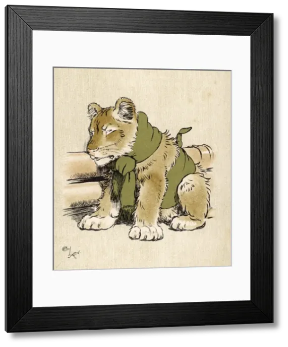 Framed Print : Lioness Cub in Scarf Framed Print : Lioness Cub in Scarf