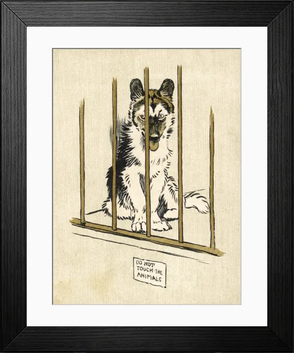 Framed Print : Husky Pup Aldin 1907 Framed Print : Husky Pup Aldin 1907