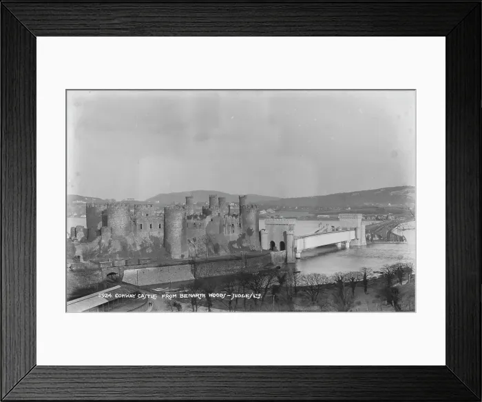 Framed Print : Conway Castle from Benarth Woods Framed Print : Conway Castle from Benarth Woods