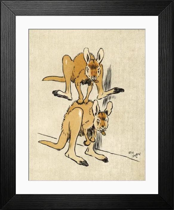 Framed Print : Baby Kangaroos Aldin Framed Print : Baby Kangaroos Aldin