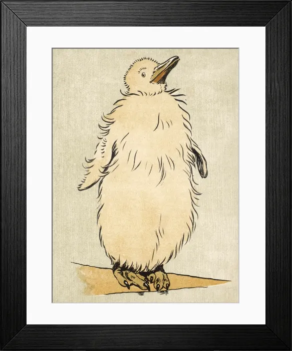 Framed Print : Baby King Penguin Aldin Framed Print : Baby King Penguin Aldin