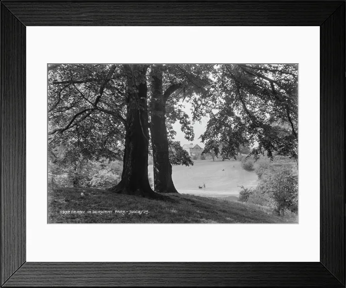 Framed Print : Derby in Derwent Park Framed Print : Derby in Derwent Park