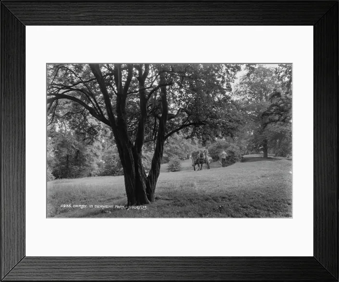 Framed Print : A Day in Derwent Park Framed Print : A Day in Derwent Park