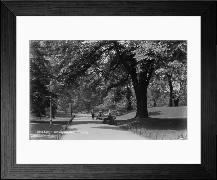 Framed Print : A Peaceful Day at the Arboretum Framed Print : A Peaceful Day at the Arboretum