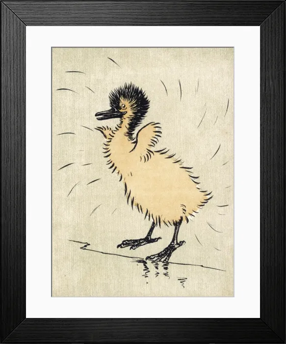 Framed Print : Ibis Chick Aldin 1907 Framed Print : Ibis Chick Aldin 1907