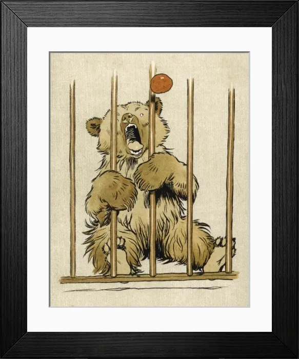 Framed Print : Brown Bear Cub Aldin Framed Print : Brown Bear Cub Aldin