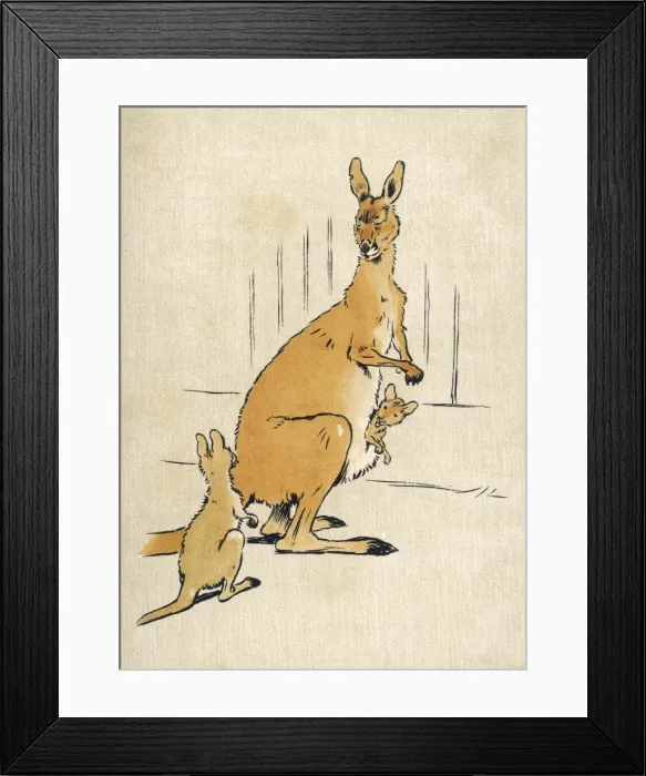 Framed Print : Kangaroos Aldin 1907 Framed Print : Kangaroos Aldin 1907
