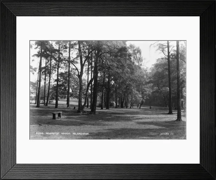 Framed Print : Addington Woods, Near Croydon Framed Print : Addington Woods, Near Croydon