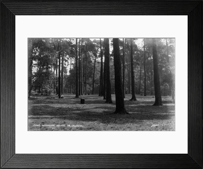 Framed Print : Addington Woods, Near Croydon Framed Print : Addington Woods, Near Croydon