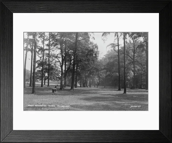 Framed Print : Addington Woods, Near Croydon Framed Print : Addington Woods, Near Croydon