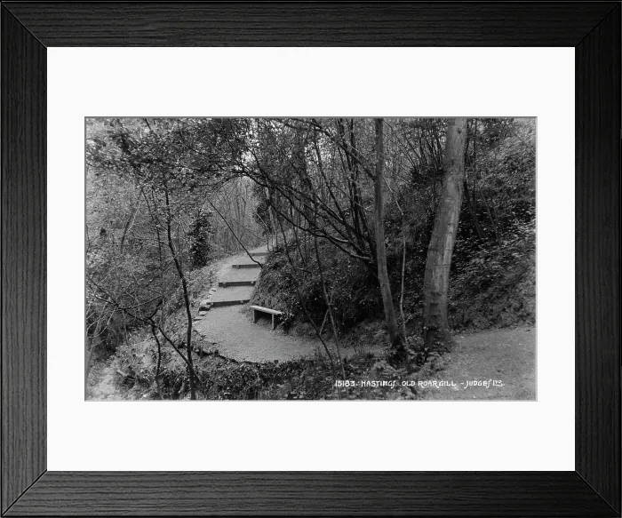 Framed Print : Pathway Through Old Roar Gill