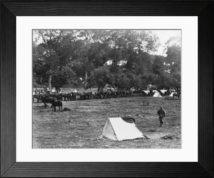 Framed Print : French Transport Camp 1916 Framed Print : French Transport Camp 1916