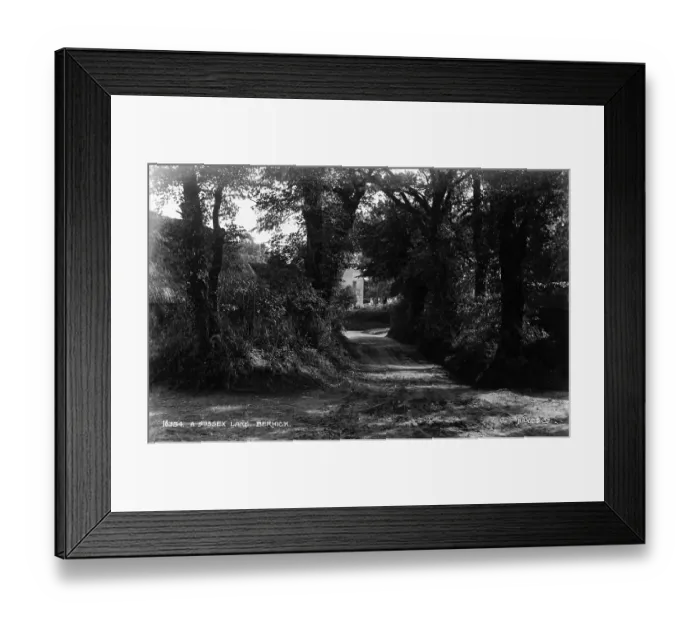 Framed Print : A Sussex Lane, Berwick Framed Print : A Sussex Lane, Berwick