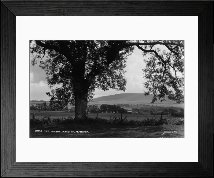 Framed Print : The Sussex Downs near Alfriston Framed Print : The Sussex Downs near Alfriston