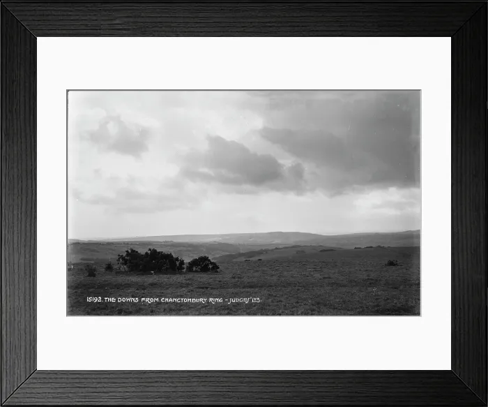 Framed Print : The Downs from Chanctonbury Ring Framed Print : The Downs from Chanctonbury Ring