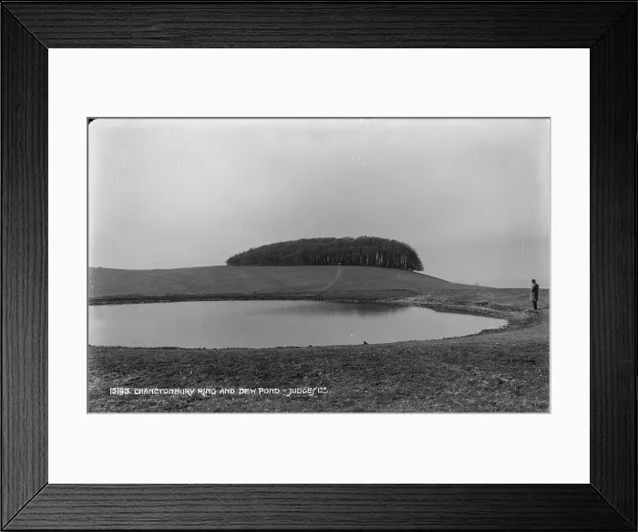 Framed Print : Chanctonbury Ring and Dew Pond Framed Print : Chanctonbury Ring and Dew Pond