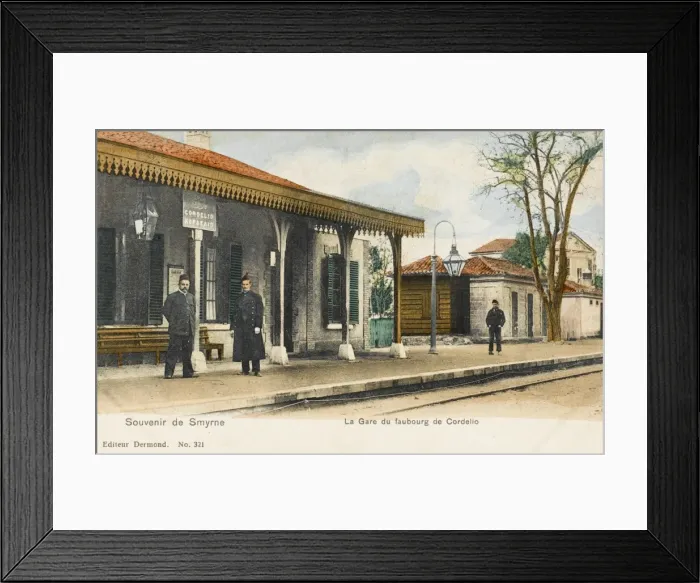Framed Print : Izmir, Turkey - Cordelio Railway Station Framed Print : Izmir, Turkey - Cordelio Railway Station