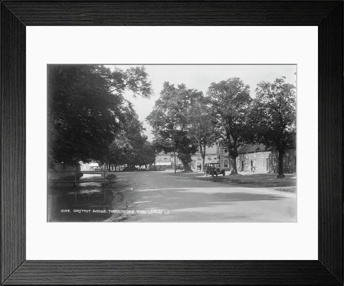 Framed Print : Chestnut Avenue, Thorntondale Framed Print : Chestnut Avenue, Thorntondale