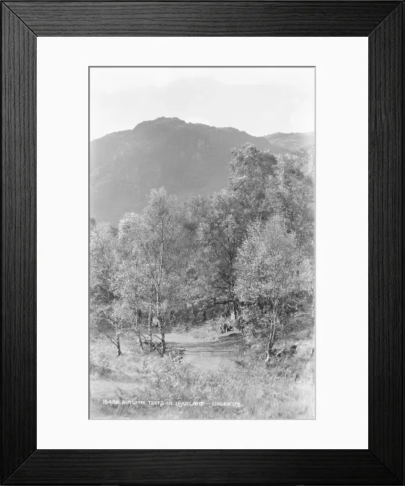 Framed Print : Autumn Tints in Lakeland Framed Print : Autumn Tints in Lakeland