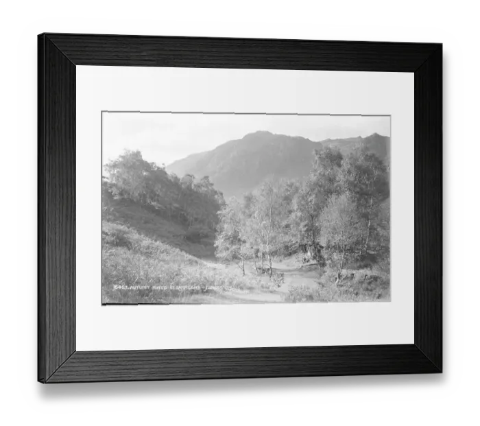 Framed Print : Autumn Tints in Lakeland Framed Print : Autumn Tints in Lakeland
