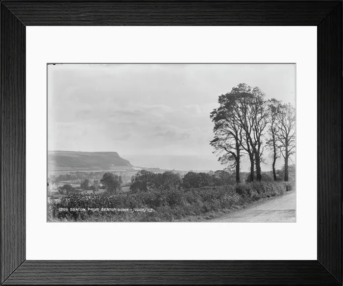 Framed Print : Scenic View from Seaton Down