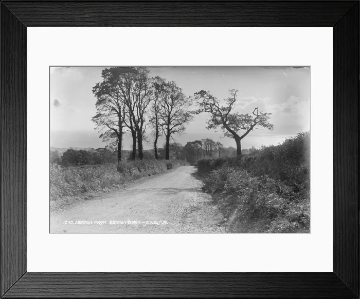 Framed Print : Seaton from Seaton Down Framed Print : Seaton from Seaton Down