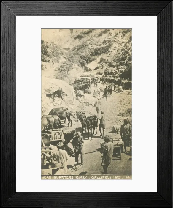 Framed Print : Indian (Commonwealth) troops at Gallipoli Framed Print : Indian (Commonwealth) troops at Gallipoli