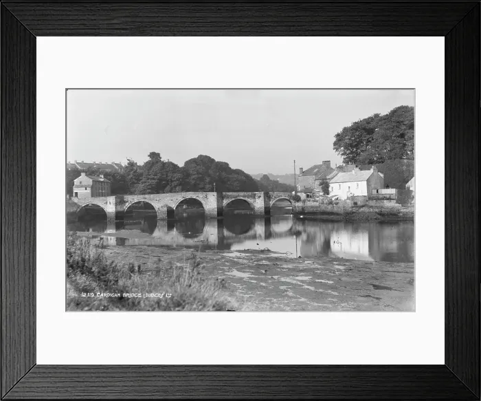 Framed Print : Cardigan Bridge Framed Print : Cardigan Bridge