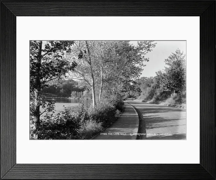 Framed Print : The Lake Walk Framed Print : The Lake Walk