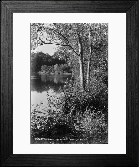 Framed Print : By the Lake Framed Print : By the Lake