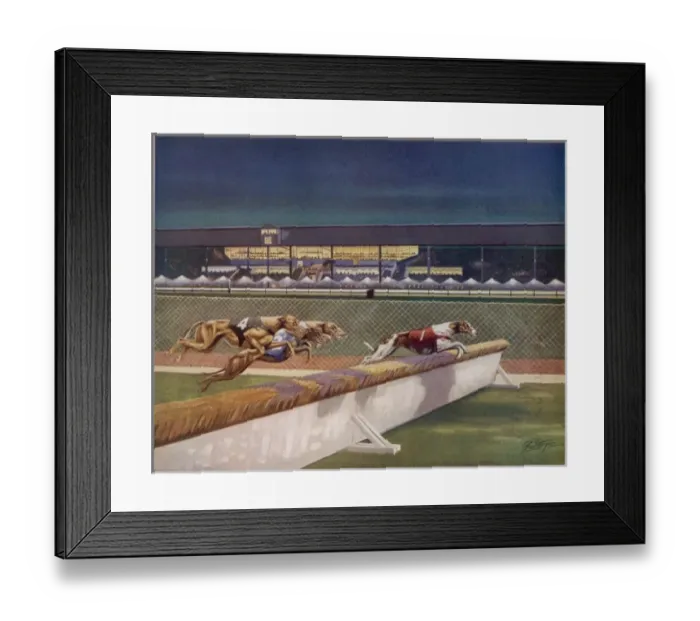 Framed Print : Greyhounds over hurdles Framed Print : Greyhounds over hurdles
