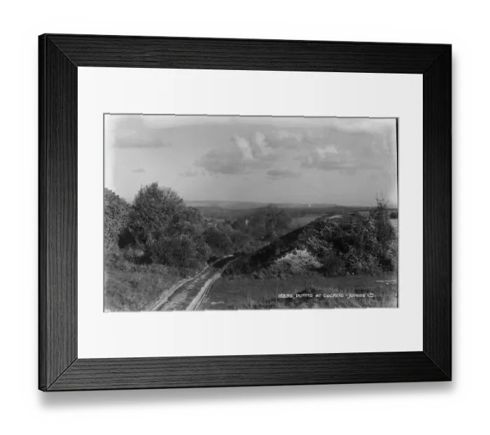 Framed Print : Doyns at Cocking - Judges Framed Print : Doyns at Cocking - Judges
