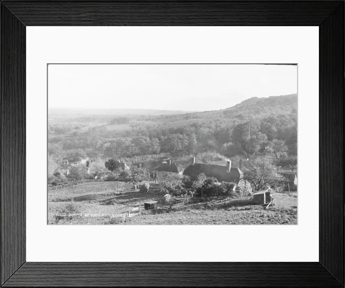 Framed Print : Doyns at Hemley Framed Print : Doyns at Hemley