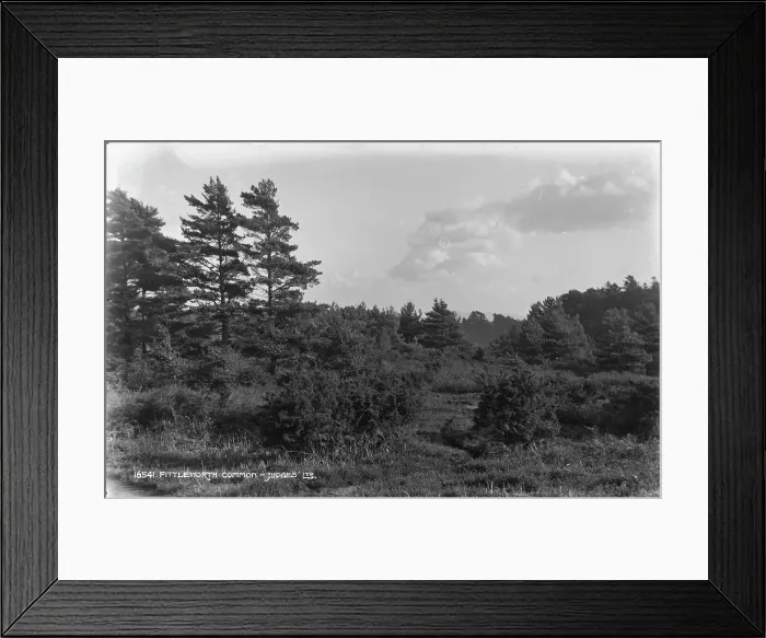 Framed Print : Fittleworth Common Landscape Framed Print : Fittleworth Common Landscape
