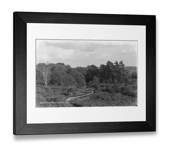 Framed Print : Fittleworth Common