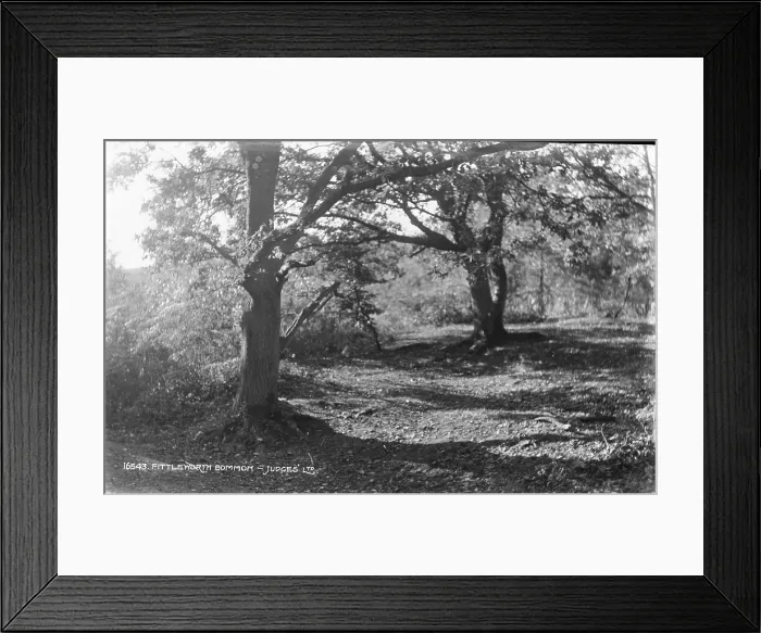 Framed Print : Fittleworth Common Framed Print : Fittleworth Common