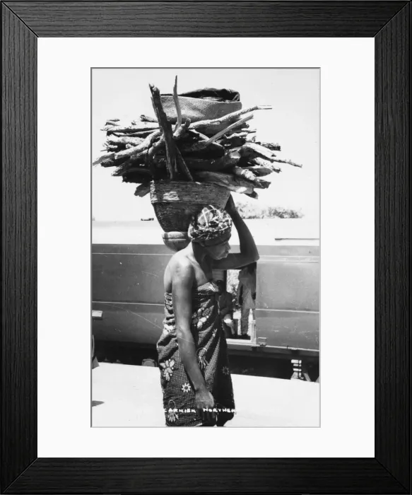 Framed Print : Guari wood carrier, Northern Nigeria, Africa Framed Print : Guari wood carrier, Northern Nigeria, Africa