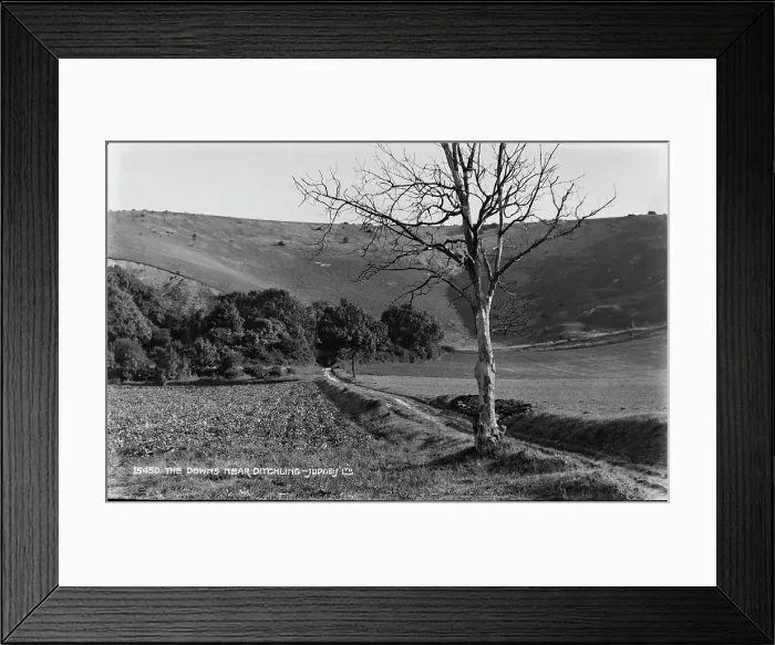 Framed Print : The Downs Near Ditchling Framed Print : The Downs Near Ditchling