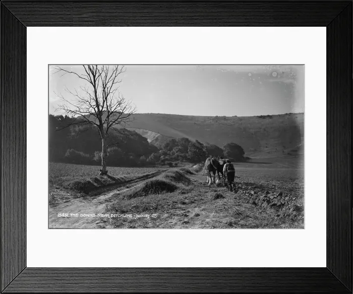 Framed Print : The Downs Near Ditchling Framed Print : The Downs Near Ditchling