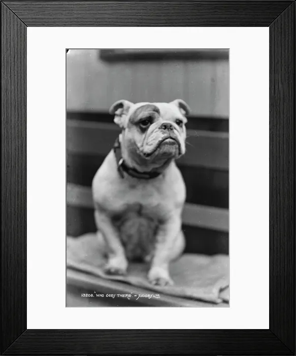 Framed Print : Who Goes There Framed Print : Who Goes There