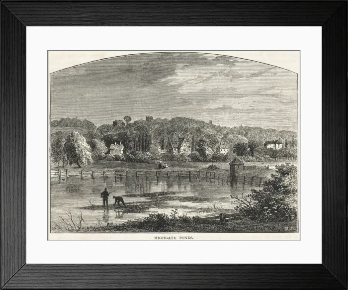Framed Print : Highgate Ponds Framed Print : Highgate Ponds