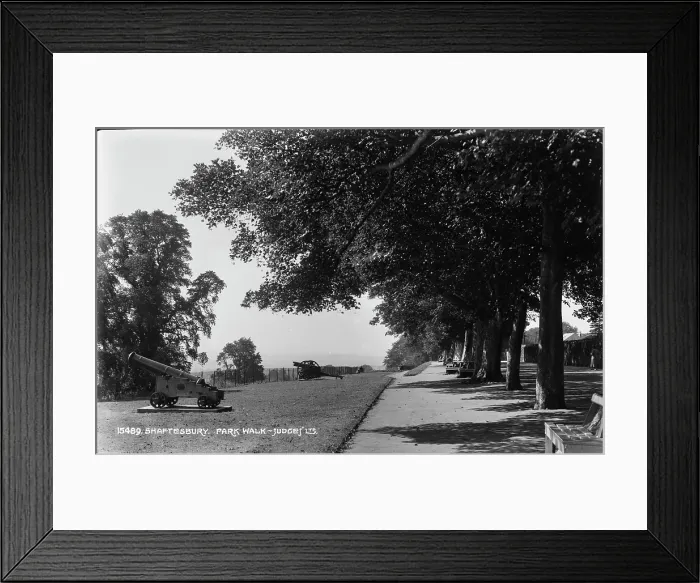 Framed Print : Park Walk in Shaftesbury Framed Print : Park Walk in Shaftesbury