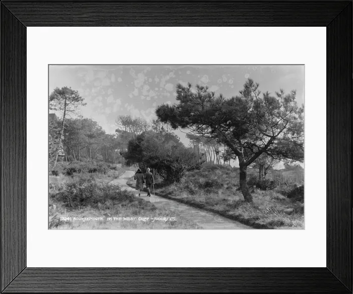 Framed Print : Stroll on the West Cliff Framed Print : Stroll on the West Cliff