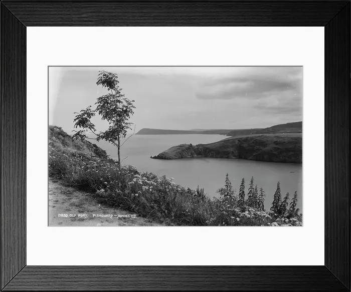 Framed Print : Old Fort at Fishguard Framed Print : Old Fort at Fishguard