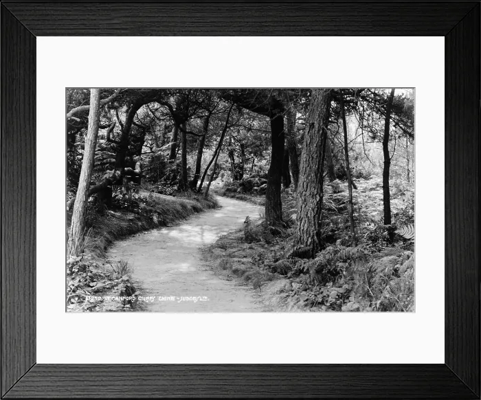 Framed Print : Pathway Through Canford Cliffs Chine Framed Print : Pathway Through Canford Cliffs Chine