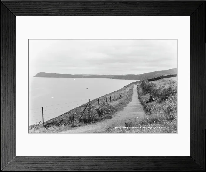 Framed Print : Scenic Marine Walk in Fishguard Framed Print : Scenic Marine Walk in Fishguard